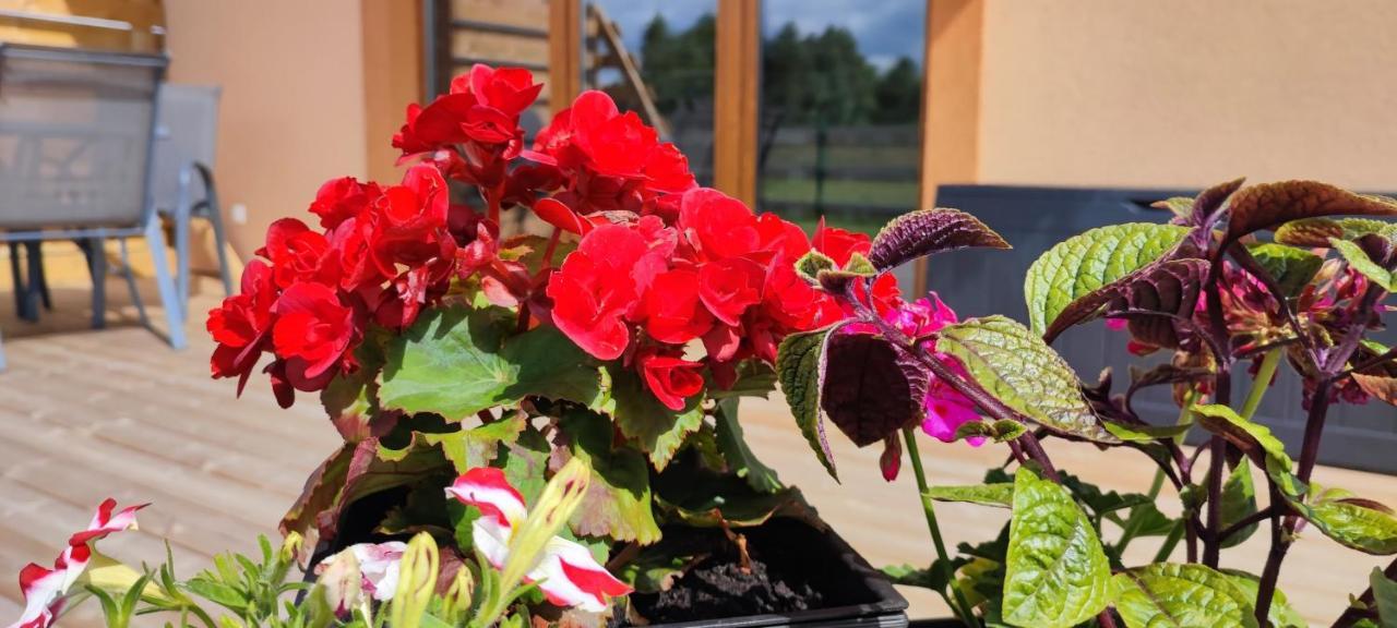 Zakatek Ciszy. Villa Sluchowo Exteriör bild